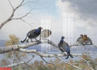 Cung cấp file tranh gốc Tranh sơn dầu phương tây tổng hợp STS79121 độc quyền