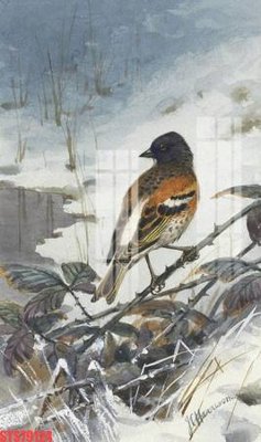 File gốc Tranh sơn dầu phương tây tổng hợp STS79124 (in lụa) tranh phong thủy