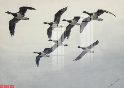 Tải file tranh Tranh sơn dầu phương tây tổng hợp STS79127 (ảnh gốc) ngay