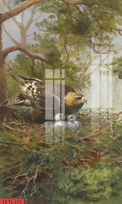 Hình ảnh gốc Tranh sơn dầu phương tây tổng hợp STS79128 (để in khổ lớn)