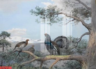 File tranh Tranh sơn dầu phương tây tổng hợp STS79130 (gốc) chủ đề trừu tượng