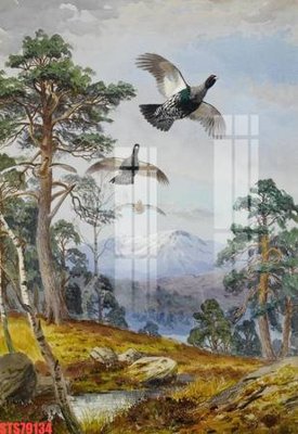 File tranh gốc Tranh sơn dầu phương tây tổng hợp STS79134 (bản quyền) file PSD