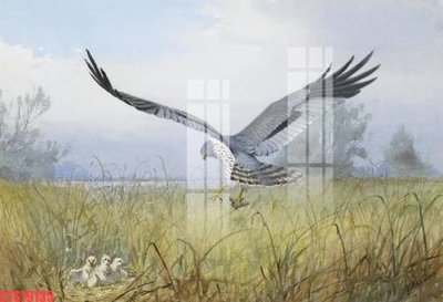 File in ấn chuyên nghiệp Tranh sơn dầu phương tây tổng hợp STS79135 (file gốc)