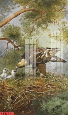 Tải file gốc Tranh sơn dầu phương tây tổng hợp STS79138 (in khổ lớn) không mờ