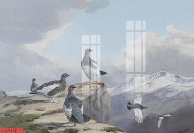 File tranh Tranh sơn dầu phương tây tổng hợp STS79140 (gốc) chủ đề trừu tượng