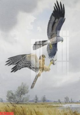 File gốc Tranh sơn dầu phương tây tổng hợp STS79142 (phiên bản chuẩn) để in ấn