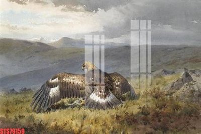 Tải về hình ảnh gốc Tranh sơn dầu phương tây tổng hợp STS79159 sắc nét