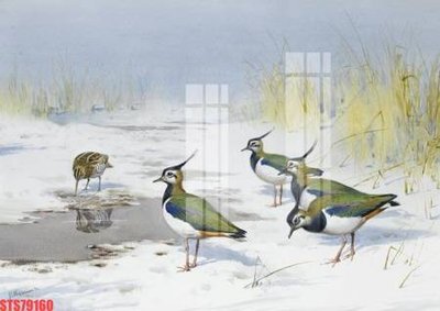 Tải file Tranh sơn dầu phương tây tổng hợp STS79160 (ảnh gốc) 300dpi Tranh sơn dầu phương tây tổng hợp STS79160