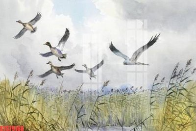 Mua file gốc Tranh sơn dầu phương tây tổng hợp STS79168 (in ấn) tại Filetranh.com