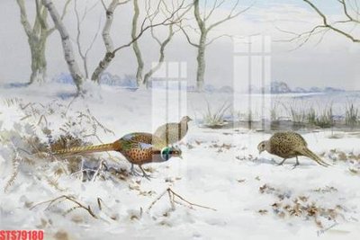 Download file gốc Tranh sơn dầu phương tây tổng hợp STS79180 (in mica) trang trí