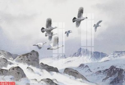 File gốc Tranh sơn dầu phương tây tổng hợp STS79185 (in tráng gương) sang trọng