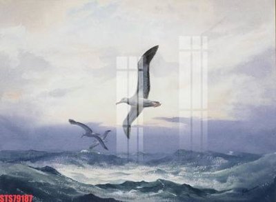 File ảnh Tranh sơn dầu phương tây tổng hợp STS79187 (gốc) in backdrop sự kiện