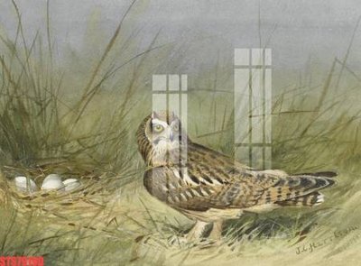 Hình ảnh file gốc in lụa Tranh sơn dầu phương tây tổng hợp STS79190