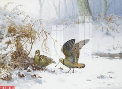 File PSD Tranh sơn dầu phương tây tổng hợp STS79194 (gốc) nhiều lớp (multi-layer)