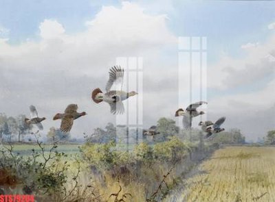 Download file tranh PSD Tranh sơn dầu phương tây tổng hợp STS79204 để chỉnh sửa