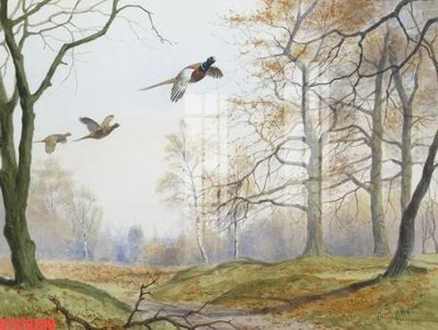 File PSD Tranh sơn dầu phương tây tổng hợp STS79209 (bản gốc) đã tách nền