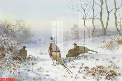 File PSD Tranh sơn dầu phương tây tổng hợp STS79213 (gốc) tách lớp chi tiết