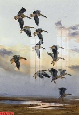 File tranh quảng cáo Tranh sơn dầu phương tây tổng hợp STS79214 (file gốc) chuyên nghiệp