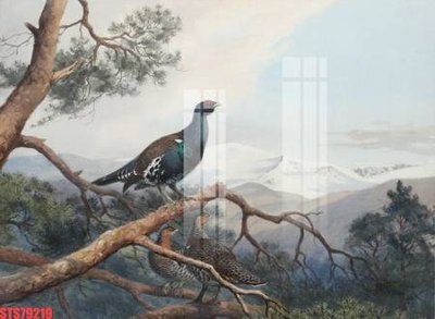 Download file gốc Tranh sơn dầu phương tây tổng hợp STS79219 (in mica) 3D