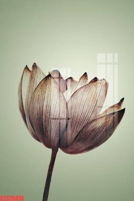 Download file tranh PSD Tranh sơn dầu phương tây tổng hợp STS79474 để chỉnh sửa