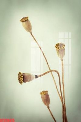 Tải file gốc Tranh sơn dầu phương tây tổng hợp STS79475 (in khổ lớn) quảng cáo