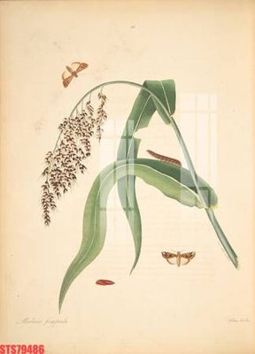 Tải file Tranh sơn dầu phương tây tổng hợp STS79486 (ảnh gốc) in tráng gương