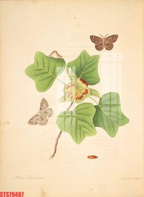 File gốc Tranh sơn dầu phương tây tổng hợp STS79487 (PSD/TIFF) độ phân giải cao