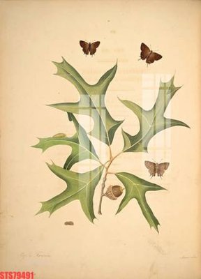 File in mica Tranh sơn dầu phương tây tổng hợp STS79491 (bản gốc) sắc sảo