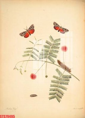 Tải file Tranh sơn dầu phương tây tổng hợp STS79495 (ảnh gốc) file AI/EPS