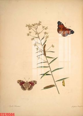 Download file Tranh sơn dầu phương tây tổng hợp STS79504 (gốc) in mica ốp bếp