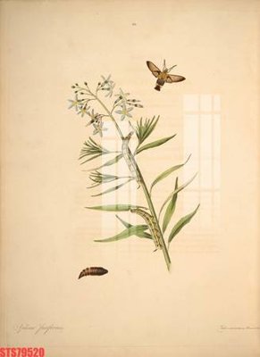 File gốc Tranh sơn dầu phương tây tổng hợp STS79520 (chuẩn màu) cho in offset