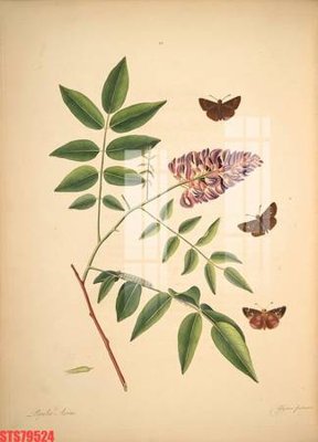 Tải file tranh Tranh sơn dầu phương tây tổng hợp STS79524 (ảnh gốc) ngay