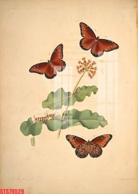 File gốc Tranh sơn dầu phương tây tổng hợp STS79529 (cho in UV) siêu nét