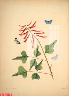 Tải file gốc Tranh sơn dầu phương tây tổng hợp STS79533 (bản PSD) chỉnh sửa được