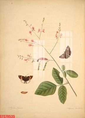 File gốc Tranh sơn dầu phương tây tổng hợp STS79535 (ảnh chi tiết) để in ấn