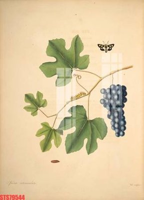 File gốc Tranh sơn dầu phương tây tổng hợp STS79544 (trang trí) cho phòng khách