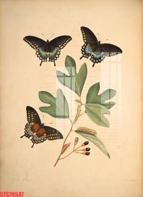 Download file gốc Tranh sơn dầu phương tây tổng hợp STS79547 (in mica) 3D