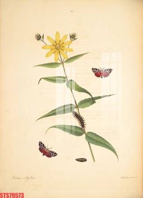 File gốc Tranh sơn dầu phương tây tổng hợp STS79573 (AI/EPS) cho in ấn