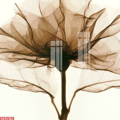 Tải file gốc Tranh sơn dầu phương tây tổng hợp STS79778 (in tráng gương) 5DFile gốc Tranh sơn dầu phương tây tổng hợp STS79778 (in ấn) phiên bản premium