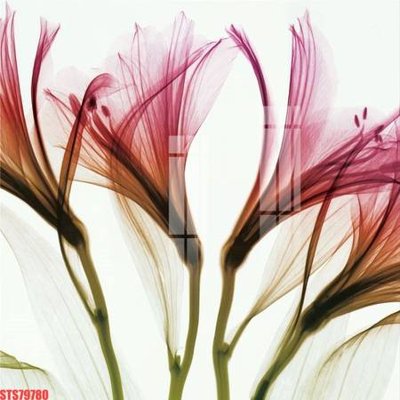 Download file tranh Tranh sơn dầu phương tây tổng hợp STS79780 (file gốc PSD)