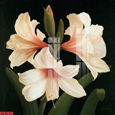 File in trần Tranh sơn dầu phương tây tổng hợp STS7979 (bản gốc) 5D