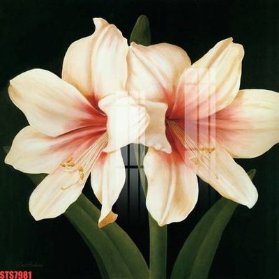 File tranh in trần 3D Tranh sơn dầu phương tây tổng hợp STS7981 (ảnh gốc)