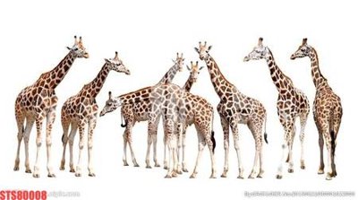 Download file gốc Tranh sơn dầu phương tây tổng hợp STS80008 (in mica) 3D