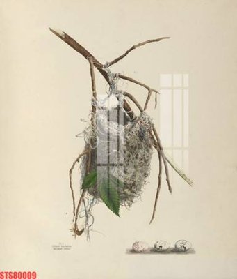 Tải file Tranh sơn dầu phương tây tổng hợp STS80009 (gốc) làm tranh trang trí