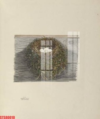 File tranh Tranh sơn dầu phương tây tổng hợp STS80010 (bản gốc) in lụa dán tường