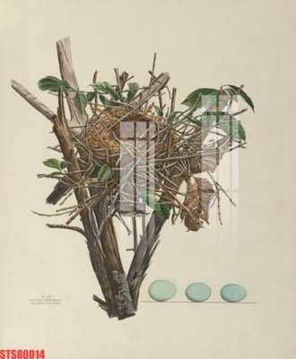 File tranh in trần 3D Tranh sơn dầu phương tây tổng hợp STS80014 (ảnh gốc)