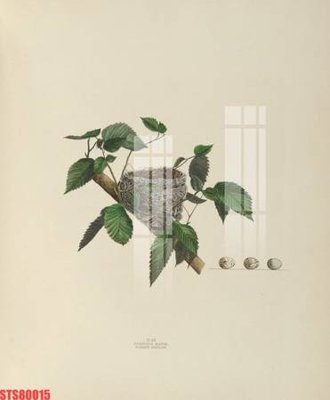 Download file Tranh sơn dầu phương tây tổng hợp STS80015 (chất lượng in ấn)