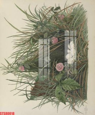 File tranh Tranh sơn dầu phương tây tổng hợp STS80018 (ảnh gốc) in trần nhà