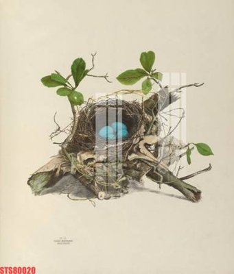 File gốc Tranh sơn dầu phương tây tổng hợp STS80020 (dành cho quảng cáo)