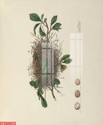 Mua file gốc Tranh sơn dầu phương tây tổng hợp STS80023 (PSD) tại Filetranh.com